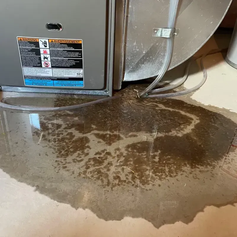 Appliance Leak Cleanup in Warsaw, NY